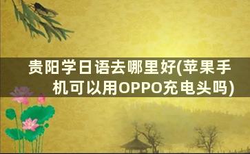 贵阳学日语去哪里好(苹果手机可以用OPPO充电头吗)