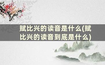 赋比兴的读音是什么(赋比兴的读音到底是什么)