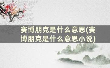 赛博朋克是什么意思(赛博朋克是什么意思小说)