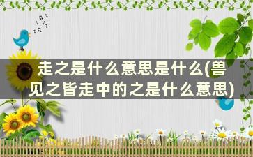 走之是什么意思是什么(兽见之皆走中的之是什么意思)