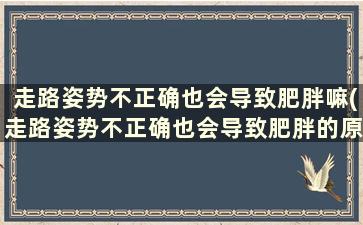 走路姿势不正确也会导致肥胖嘛(走路姿势不正确也会导致肥胖的原因)