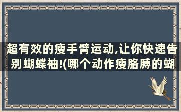 超有效的瘦手臂运动,让你快速告别蝴蝶袖!(哪个动作瘦胳膊的蝴蝶袖)