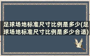 足球场地标准尺寸比例是多少(足球场地标准尺寸比例是多少合适)