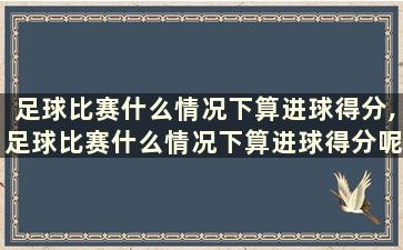 足球比赛什么情况下算进球得分,足球比赛什么情况下算进球得分呢