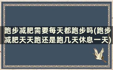 跑步减肥需要每天都跑步吗(跑步减肥天天跑还是跑几天休息一天)