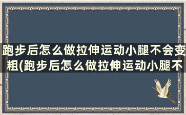 跑步后怎么做拉伸运动小腿不会变粗(跑步后怎么做拉伸运动小腿不会变粗)