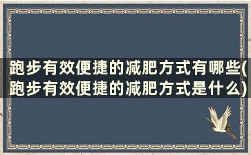 跑步有效便捷的减肥方式有哪些(跑步有效便捷的减肥方式是什么)