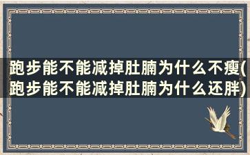 跑步能不能减掉肚腩为什么不瘦(跑步能不能减掉肚腩为什么还胖)