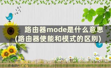 路由器mode是什么意思(路由器使能和模式的区别)