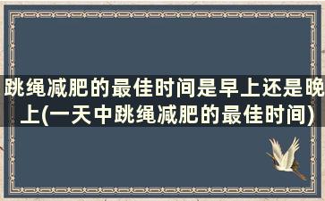 跳绳减肥的最佳时间是早上还是晚上(一天中跳绳减肥的最佳时间)