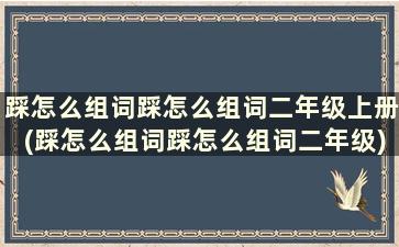 踩怎么组词踩怎么组词二年级上册(踩怎么组词踩怎么组词二年级)