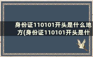 身份证110101开头是什么地方(身份证110101开头是什么地方的人)