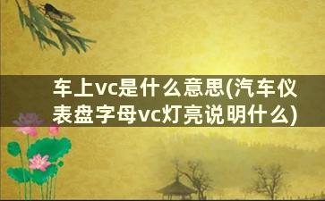 车上vc是什么意思(汽车仪表盘字母vc灯亮说明什么)