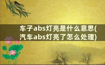 车子abs灯亮是什么意思(汽车abs灯亮了怎么处理)