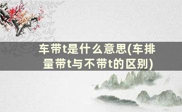 车带t是什么意思(车排量带t与不带t的区别)