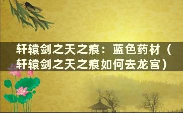 轩辕剑之天之痕：蓝色药材（轩辕剑之天之痕如何去龙宫）