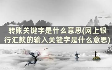 转账关键字是什么意思(网上银行汇款的输入关键字是什么意思)