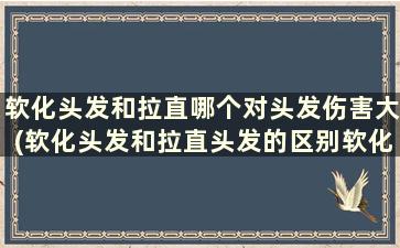 软化头发和拉直哪个对头发伤害大(软化头发和拉直头发的区别软化头发多久)