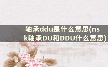 轴承ddu是什么意思(nsk轴承DU和DDU什么意思)