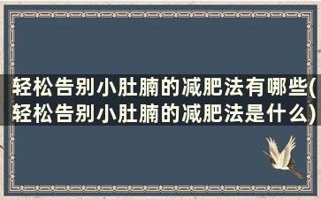 轻松告别小肚腩的减肥法有哪些(轻松告别小肚腩的减肥法是什么)