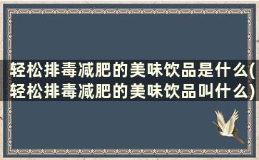 轻松排毒减肥的美味饮品是什么(轻松排毒减肥的美味饮品叫什么)