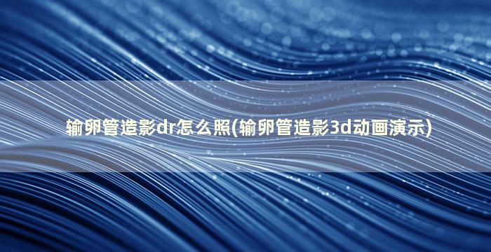 输卵管造影dr怎么照(输卵管造影3d动画演示)