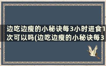 边吃边瘦的小秘诀每3小时进食1次可以吗(边吃边瘦的小秘诀每3小时进食1次吗)