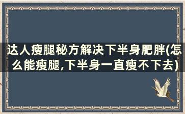 达人瘦腿秘方解决下半身肥胖(怎么能瘦腿,下半身一直瘦不下去)