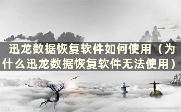 迅龙数据恢复软件如何使用（为什么迅龙数据恢复软件无法使用）