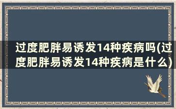 过度肥胖易诱发14种疾病吗(过度肥胖易诱发14种疾病是什么)