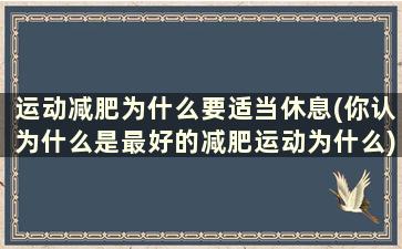 运动减肥为什么要适当休息(你认为什么是最好的减肥运动为什么)