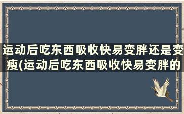 运动后吃东西吸收快易变胖还是变瘦(运动后吃东西吸收快易变胖的原因)