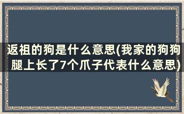 返祖的狗是什么意思(我家的狗狗腿上长了7个爪子代表什么意思)