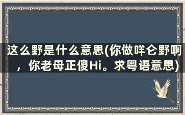 这么野是什么意思(你做咩仑野啊，你老母正傻Hi。求粤语意思)