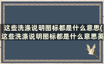 这些洗涤说明图标都是什么意思(这些洗涤说明图标都是什么意思英文)