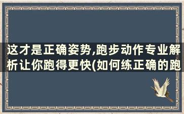 这才是正确姿势,跑步动作专业解析让你跑得更快(如何练正确的跑步姿势)