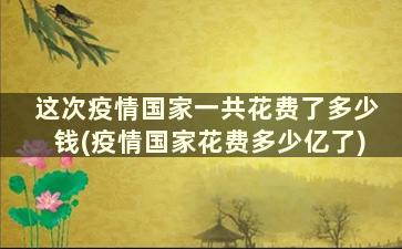 这次疫情国家一共花费了多少钱(疫情国家花费多少亿了)