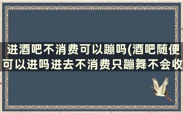 进酒吧不消费可以蹦吗(酒吧随便可以进吗进去不消费只蹦舞不会收钱)