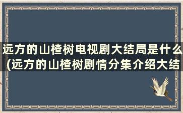 远方的山楂树电视剧大结局是什么(远方的山楂树剧情分集介绍大结局)