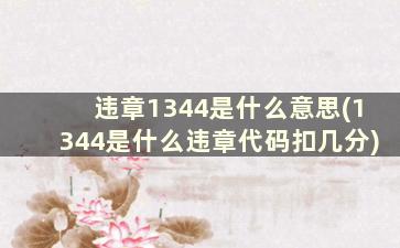 违章1344是什么意思(1344是什么违章代码扣几分)