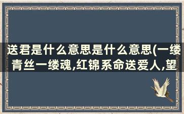 送君是什么意思是什么意思(一缕青丝一缕魂,红锦系命送爱人,望君不负我倾心是什么意思)