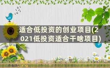 适合低投资的创业项目(2021低投资适合干啥项目)