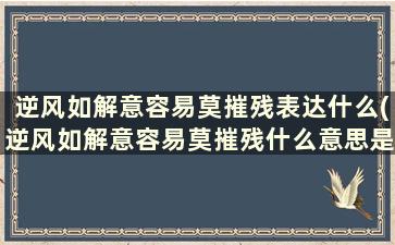 逆风如解意容易莫摧残表达什么(逆风如解意容易莫摧残什么意思是谁的诗)