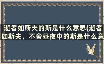 逝者如斯夫的斯是什么意思(逝者如斯夫，不舍昼夜中的斯是什么意思)