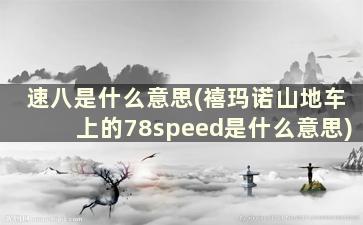 速八是什么意思(禧玛诺山地车上的78speed是什么意思)