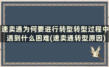 速卖通为何要进行转型转型过程中遇到什么困难(速卖通转型原因)