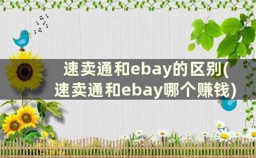 速卖通和ebay的区别(速卖通和ebay哪个赚钱)