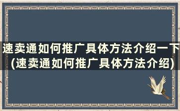 速卖通如何推广具体方法介绍一下(速卖通如何推广具体方法介绍)