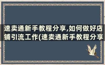 速卖通新手教程分享,如何做好店铺引流工作(速卖通新手教程分享,如何做好店铺引流销售)