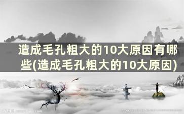 造成毛孔粗大的10大原因有哪些(造成毛孔粗大的10大原因)